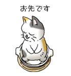 にゃんこどなべ その1（個別スタンプ：37）