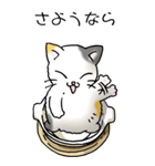 にゃんこどなべ その1（個別スタンプ：39）