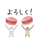 おやつとシマクマ（個別スタンプ：5）