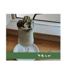 抹茶っチャッチャ♪茶茶茶茶っ茶♪（個別スタンプ：39）