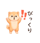 【動く/敬語】ふわふわ柴犬（個別スタンプ：11）