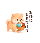 【動く/敬語】ふわふわ柴犬（個別スタンプ：15）