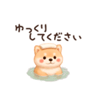 【動く/敬語】ふわふわ柴犬（個別スタンプ：16）