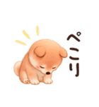 【動く/敬語】ふわふわ柴犬（個別スタンプ：18）