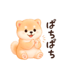 【動く/敬語】ふわふわ柴犬（個別スタンプ：19）
