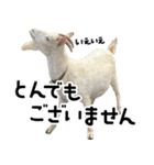 ヤギのすたんぷ【敬語ver.】（個別スタンプ：14）