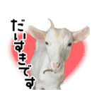 ヤギのすたんぷ【敬語ver.】（個別スタンプ：17）