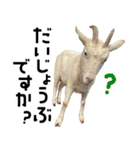 ヤギのすたんぷ【敬語ver.】（個別スタンプ：26）