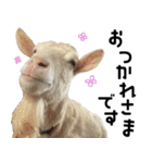 ヤギのすたんぷ【敬語ver.】（個別スタンプ：27）