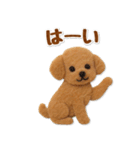 毎日使えるトイプードルのグルメスタンプ（個別スタンプ：9）