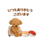 毎日使えるトイプードルのグルメスタンプ（個別スタンプ：12）