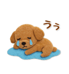 毎日使えるトイプードルのグルメスタンプ（個別スタンプ：20）