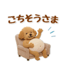 毎日使えるトイプードルのグルメスタンプ（個別スタンプ：36）