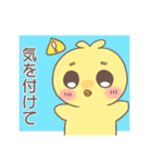 ぴよちとの日常（個別スタンプ：31）