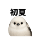リアルなシマエナガの梅雨＆雨の日セット（個別スタンプ：1）
