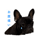 あんちゃんとてびち（個別スタンプ：1）