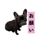 あんちゃんとてびち（個別スタンプ：5）