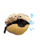 あんちゃんとてびち（個別スタンプ：11）