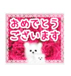 飛び出す！やさしいモコモコくん 修正版（個別スタンプ：22）