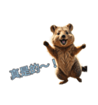 愛らしいクオッカ4（繁体字）（個別スタンプ：5）