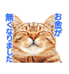 大事な事をあっさり伝えるスタンプ（個別スタンプ：4）