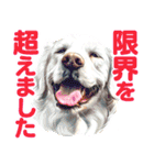 大事な事をあっさり伝えるスタンプ（個別スタンプ：10）