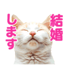大事な事をあっさり伝えるスタンプ（個別スタンプ：20）