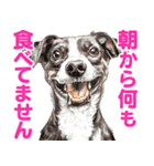 大事な事をあっさり伝えるスタンプ（個別スタンプ：22）