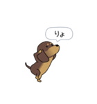 新・激しく尻尾をふるダックス（個別スタンプ：2）