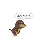 新・激しく尻尾をふるダックス（個別スタンプ：3）