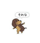 新・激しく尻尾をふるダックス（個別スタンプ：4）