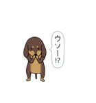 新・激しく尻尾をふるダックス（個別スタンプ：5）
