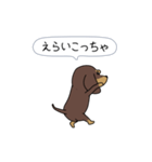 新・激しく尻尾をふるダックス（個別スタンプ：6）