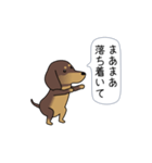 新・激しく尻尾をふるダックス（個別スタンプ：7）