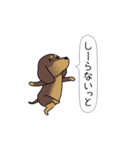 新・激しく尻尾をふるダックス（個別スタンプ：8）