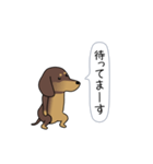 新・激しく尻尾をふるダックス（個別スタンプ：9）