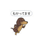 新・激しく尻尾をふるダックス（個別スタンプ：10）