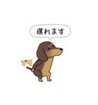 新・激しく尻尾をふるダックス（個別スタンプ：11）