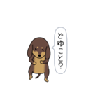新・激しく尻尾をふるダックス（個別スタンプ：13）