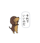 新・激しく尻尾をふるダックス（個別スタンプ：15）