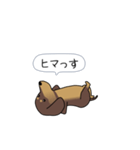新・激しく尻尾をふるダックス（個別スタンプ：16）