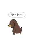 新・激しく尻尾をふるダックス（個別スタンプ：17）