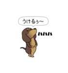 新・激しく尻尾をふるダックス（個別スタンプ：21）