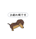 新・激しく尻尾をふるダックス（個別スタンプ：22）