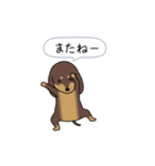 新・激しく尻尾をふるダックス（個別スタンプ：23）