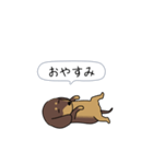 新・激しく尻尾をふるダックス（個別スタンプ：24）