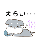 山梨弁のシュナウザーとシマエナガ（個別スタンプ：16）