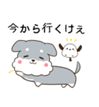 山梨弁のシュナウザーとシマエナガ（個別スタンプ：20）