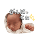 とわとわスタンプ♡.（個別スタンプ：1）