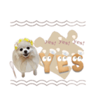 おかゆとみなきち（個別スタンプ：12）